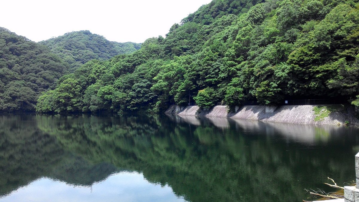 🏞️ 후타타비 공원 (再度公園) 이미지 8